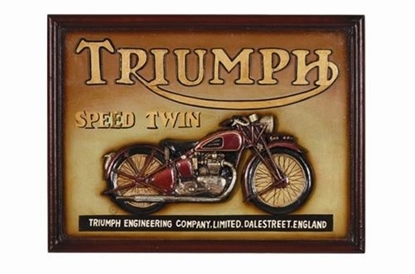 Image de Triumph Speed Twin