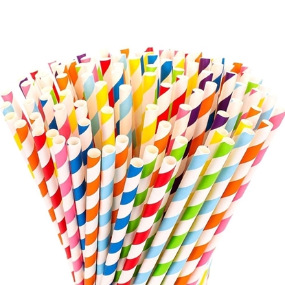Image de Paquet de 100 Pailles en papier biodégradables de couleurs assorties