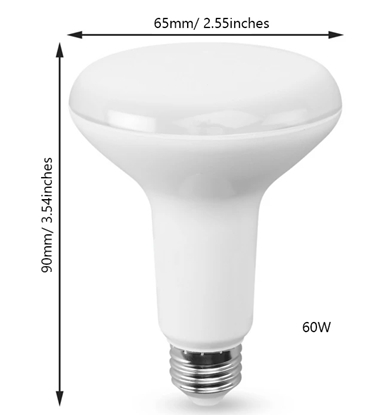 Image de 71890 Replacement light for popcorn machine 60watts